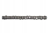 20100411001 - VOLVO D11 Camshaft - OEM 20746807, 22431873