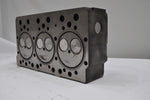 Cylinder Head Volvo (Includes Valves) - TD63/D6